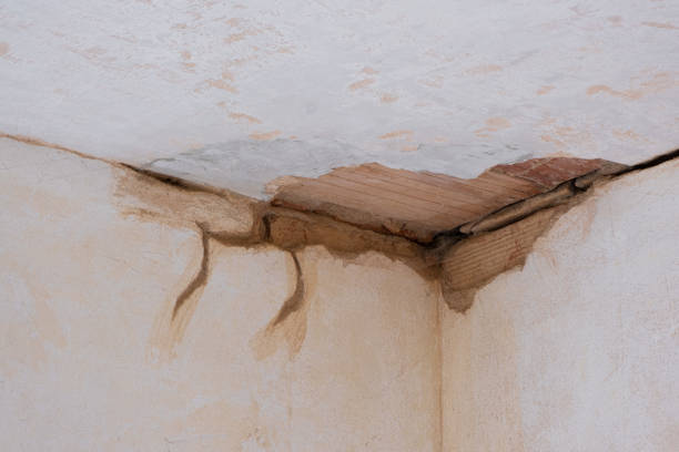 Professional Water damage restoration in Edgewood, NM